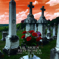 Thumbnail for the Lil Skies - Red Roses (LIOHN's Tokyo Drift Remix) link, provided by host site