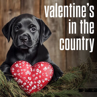 Thumbnail for the Justin Moore - Redneck Love link, provided by host site