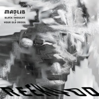 Thumbnail for the Madlib - REEKYOD link, provided by host site