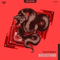 Thumbnail for the David Sellers - Reflections link, provided by host site