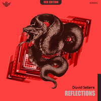 Thumbnail for the David Sellers - Reflections link, provided by host site