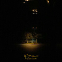 Thumbnail for the Blossom - Reflections link, provided by host site