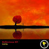 Thumbnail for the Zareh Kan - Reflections link, provided by host site
