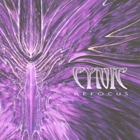 Thumbnail for the Cynic - ReFocus link, provided by host site