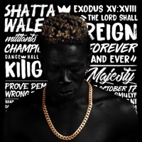 Thumbnail for the Shatta Wale - Reign link, provided by host site