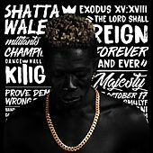 Thumbnail for the Shatta Wale - Reign link, provided by host site