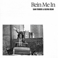 Thumbnail for the Sam Fender - Rein Me In [Live at London Stadium] Extended Intro link, provided by host site
