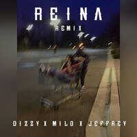 Thumbnail for the Dizzy - Reina (Remix) link, provided by host site