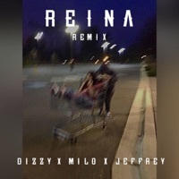 Thumbnail for the Dizzy - Reina (Remix) link, provided by host site