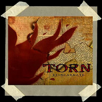 Thumbnail for the Torn - Reincarnate link, provided by host site