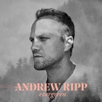 Thumbnail for the Andrew Ripp - Rejoice link, provided by host site