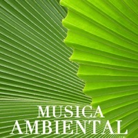 Thumbnail for the Musica Ambiental Clube - Relation link, provided by host site