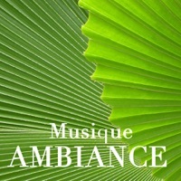 Thumbnail for the Musique Ambiance Détente - Relation link, provided by host site