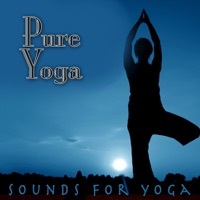 Thumbnail for the Relaxation Yoga Instrumentalists - Relax link, provided by host site