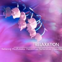 Thumbnail for the Relaxing Mindfulness Meditation Relaxation Maestro - Relaxation - Ambient Music, Relaxing Sounds of Nature for Soothing Mindfulness Meditation link, provided by host site