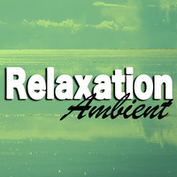 Thumbnail for the Relax Meditate Sleep - Relaxation - Ambient link, provided by host site