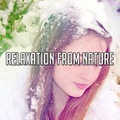 Thumbnail for the The Rest - Relaxation From Nature link, provided by host site