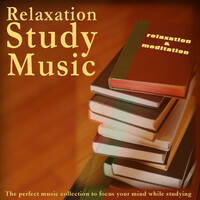 Thumbnail for the Relaxation And Meditation - Relaxation Study Music link, provided by host site