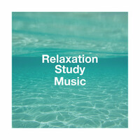 Thumbnail for the Sounds of Nature White Noise for Mindfulness Meditation and Relaxation - Relaxation Study Music link, provided by host site