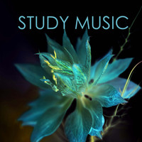Thumbnail for the Studying Music - Relaxation Study Music - Reading Background link, provided by host site