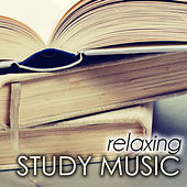 Thumbnail for the Study Music - Relaxation Study Music link, provided by host site