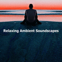 Thumbnail for the Ontspanning Sound - Relaxing Ambient Soundscapes link, provided by host site