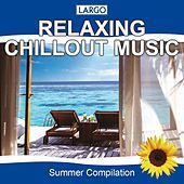 Thumbnail for the Largo - Relaxing Chillout Music link, provided by host site