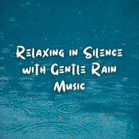 Thumbnail for the Rain Paris - Relaxing in Silence with Gentle Rain Music link, provided by host site