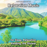 Thumbnail for the Relaxation Music - Relaxing Music link, provided by host site