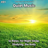 Thumbnail for the New Age - Relaxing Music link, provided by host site