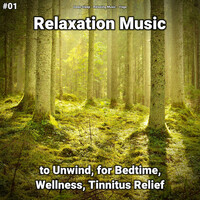 Thumbnail for the Yoga - Relaxing Music link, provided by host site