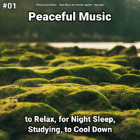 Thumbnail for the Relaxing Spa Music - Relaxing Music link, provided by host site