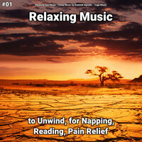 Thumbnail for the Relaxing Spa Music - Relaxing Music link, provided by host site