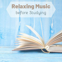 Thumbnail for the Study Music Group - Relaxing Music before Studying: Alpha Waves, Piano Music, Concentration Music link, provided by host site