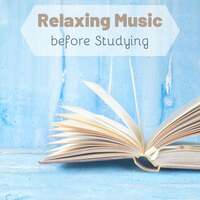 Thumbnail for the Study Music Group - Relaxing Music before Studying: Alpha Waves, Piano Music, Concentration Music link, provided by host site