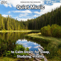 Thumbnail for the Relaxing Spa Music - Relaxing Music link, provided by host site