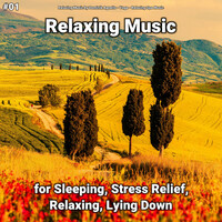 Thumbnail for the Relaxing Spa Music - Relaxing Music link, provided by host site