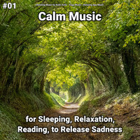Thumbnail for the Relaxing Spa Music - Relaxing Music link, provided by host site
