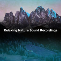 Thumbnail for the Sonidos de la Naturaleza Relajacion - Relaxing Nature Sound Recordings link, provided by host site