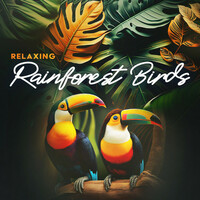 Thumbnail for the Calming Sounds - Relaxing Rainforest Birds link, provided by host site