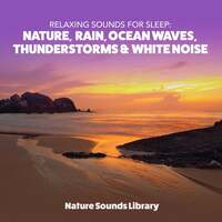Thumbnail for the Nature Sounds Library - Relaxing Sounds for Sleep: Nature, Rain, Ocean Waves, Thunderstorms & White Noise link, provided by host site