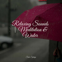 Thumbnail for the Study Music - Relaxing Sounds | Meditation & Water link, provided by host site