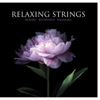 Thumbnail for the Krusty Fedeux - Relaxing Strings link, provided by host site