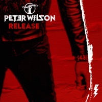 Thumbnail for the Peter Wilson - Release link, provided by host site