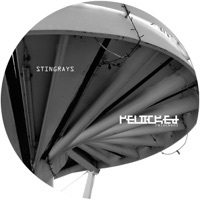 Thumbnail for the Stingrays - Relocked_3 link, provided by host site