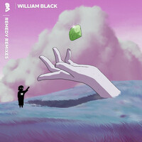 Thumbnail for the William Black - Remedy (Pixel Terror Remix) link, provided by host site