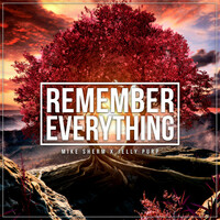 Thumbnail for the Mike Sherm - Remember Everything link, provided by host site