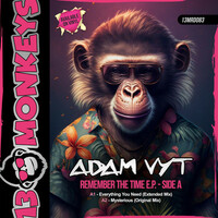 Thumbnail for the Adam Vyt - Remember The Time E.P. - Side A link, provided by host site