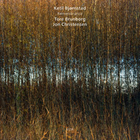 Thumbnail for the Ketil Bjørnstad - Remembrance link, provided by host site
