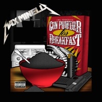 Thumbnail for the Max Minelli - Remi link, provided by host site